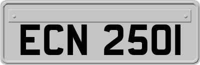 ECN2501