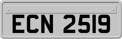 ECN2519
