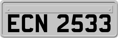 ECN2533