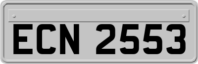 ECN2553