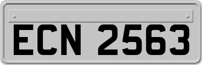ECN2563