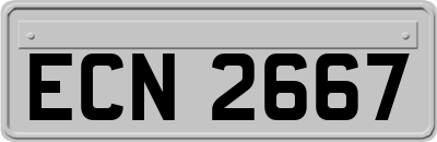 ECN2667