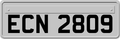 ECN2809