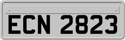 ECN2823