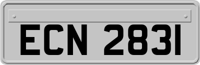 ECN2831