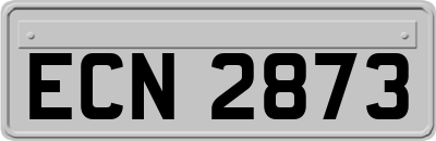 ECN2873