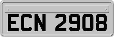 ECN2908