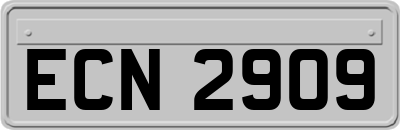 ECN2909