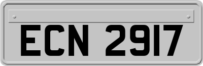 ECN2917