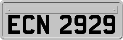 ECN2929