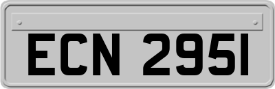 ECN2951