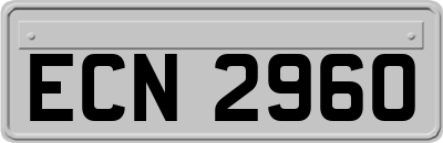 ECN2960