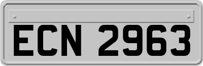 ECN2963