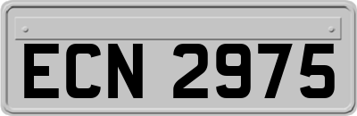 ECN2975