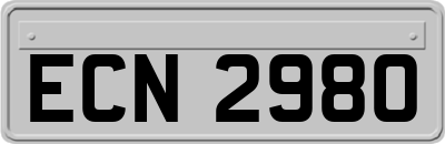 ECN2980