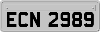 ECN2989