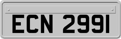 ECN2991