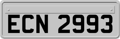 ECN2993