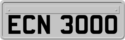 ECN3000
