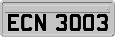 ECN3003