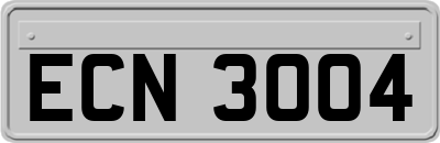 ECN3004