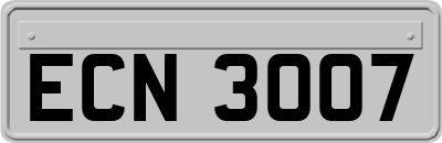ECN3007