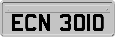 ECN3010