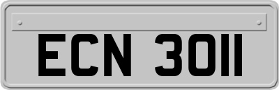 ECN3011