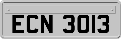 ECN3013