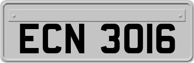 ECN3016