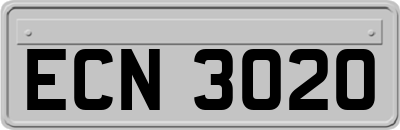 ECN3020