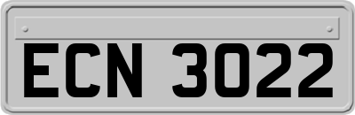 ECN3022