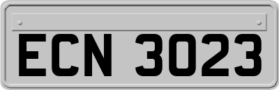 ECN3023