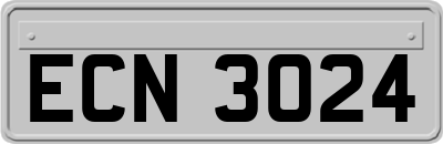 ECN3024
