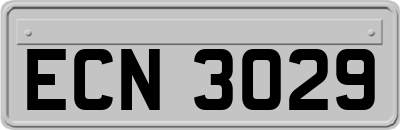 ECN3029