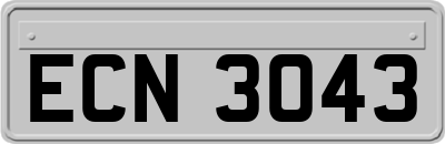 ECN3043