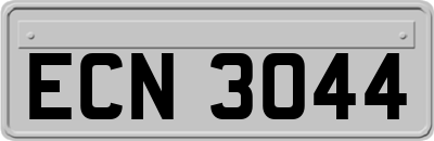ECN3044