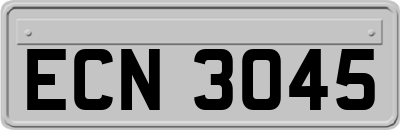 ECN3045