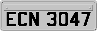 ECN3047