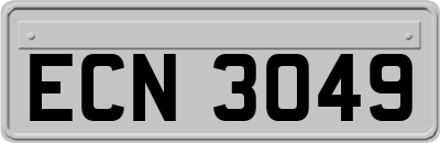 ECN3049