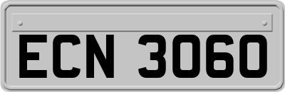 ECN3060