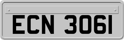 ECN3061