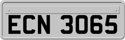 ECN3065
