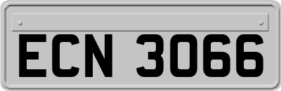 ECN3066