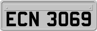 ECN3069