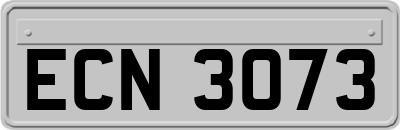 ECN3073