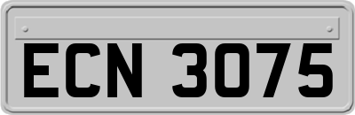 ECN3075