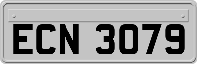 ECN3079