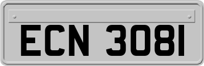 ECN3081