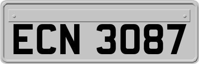 ECN3087